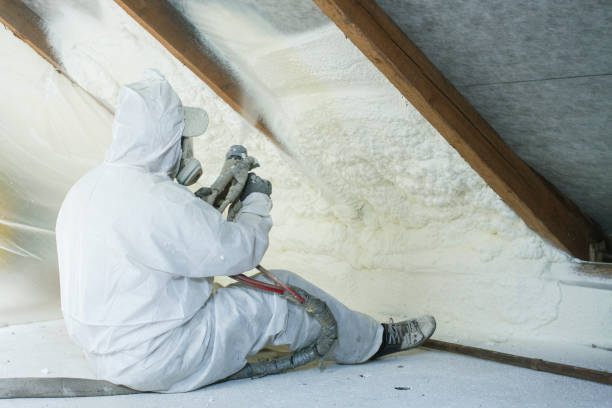 Best Pipe and Duct Insulation  in Smyrna, DE